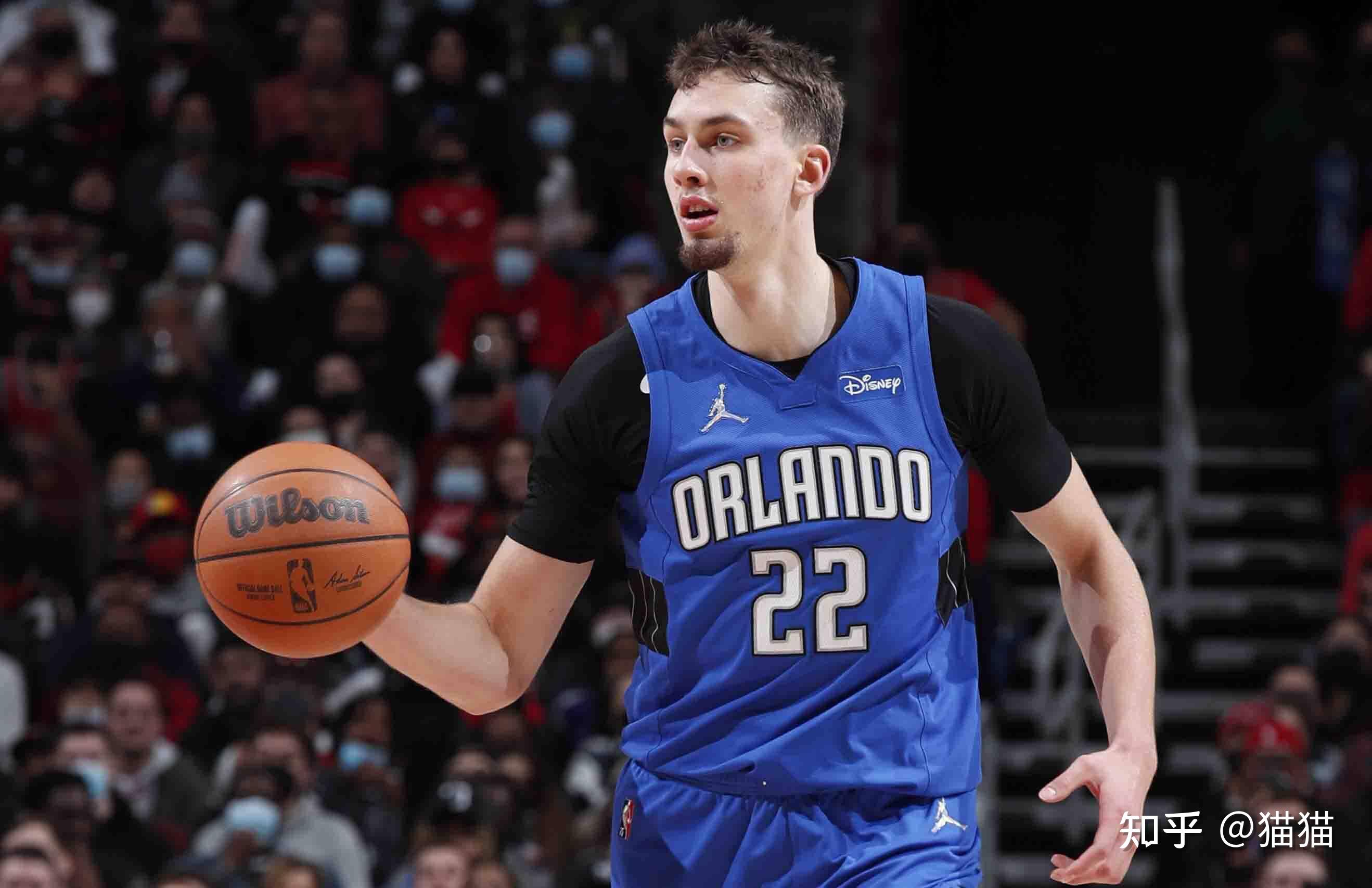 也暗示了只 也暗示了只